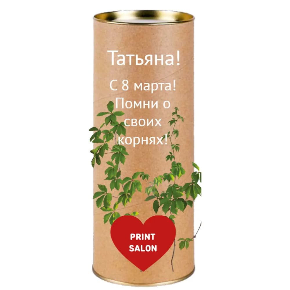 Превью