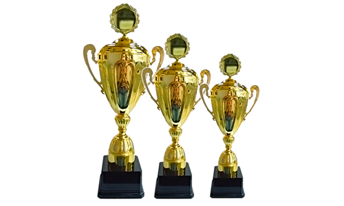 LG-1148-LONG-500×300 Золотистый кубок типа Амфора